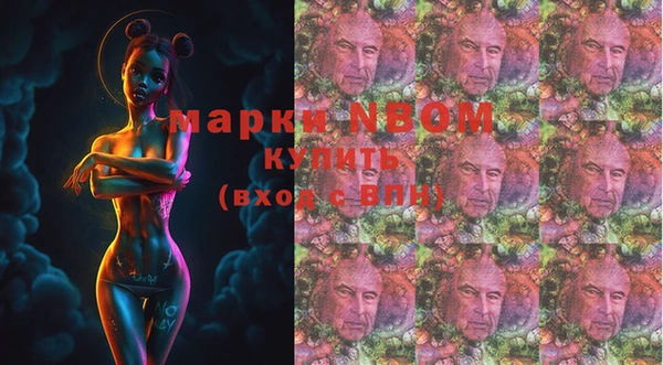 ГАЛЛЮЦИНОГЕННЫЕ ГРИБЫ Каменка