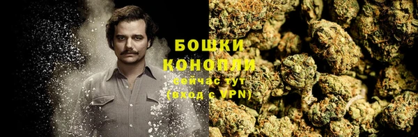 ГАЛЛЮЦИНОГЕННЫЕ ГРИБЫ Каменка