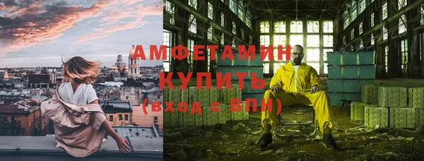ГАЛЛЮЦИНОГЕННЫЕ ГРИБЫ Каменка