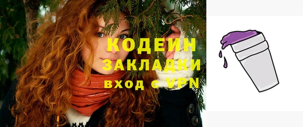 ГАЛЛЮЦИНОГЕННЫЕ ГРИБЫ Каменка