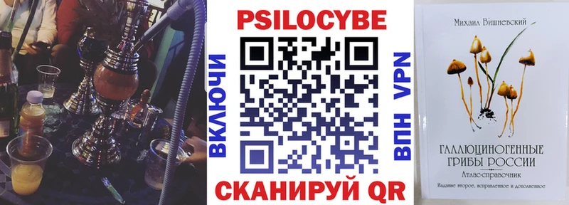 Купить где Гусиноозёрск Псилоцибиновые грибы прущие грибы